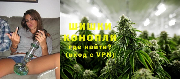 apvp Аркадак