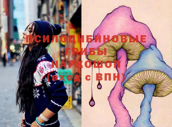 МДПВ Арсеньев